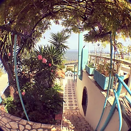 Hotel Benitsa *